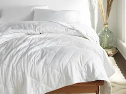 Organic Bamboo Sateen Sheet Set