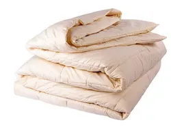 Organic All Season Wool Comforter