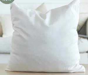 Organic Throw Pillow Insert