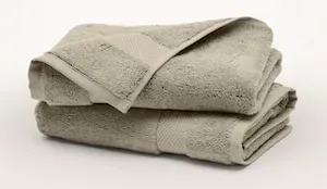 Plush Hand Towels (2 Pack)