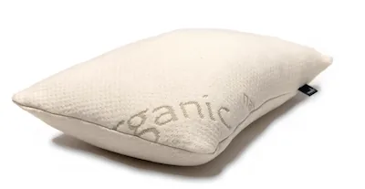 Organic Travel Pillow