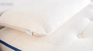 Charcoal Infused Latex Pillow