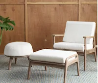 Lounge Chair and Ottoman