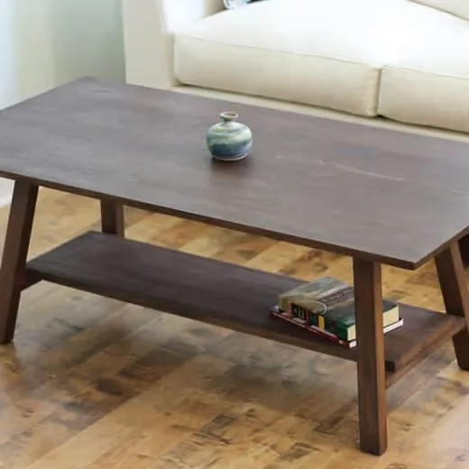 Coffee Table with Shelf