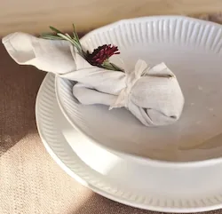 Snow Day White Dinnerware Plates
