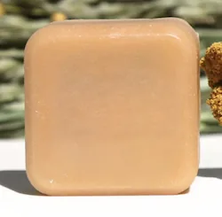 Intensive Repair - Damaged Hair & Dandruff Scalp Solid Conditioner