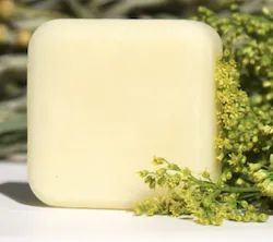 Deep Hydrating - Hair & Scalp Solid Conditioner