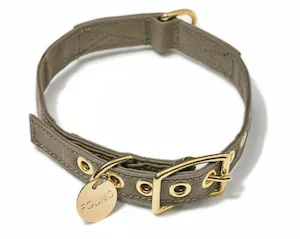 Cotton Canvas Cat & Dog Collar